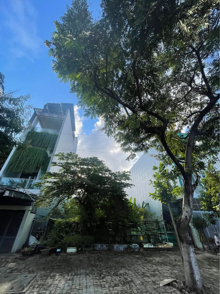 Đất mặt tiền Trần Đăng Ninh 112m² giá thỏa thuận - Cơ hội đầu tư tuyệt vời!