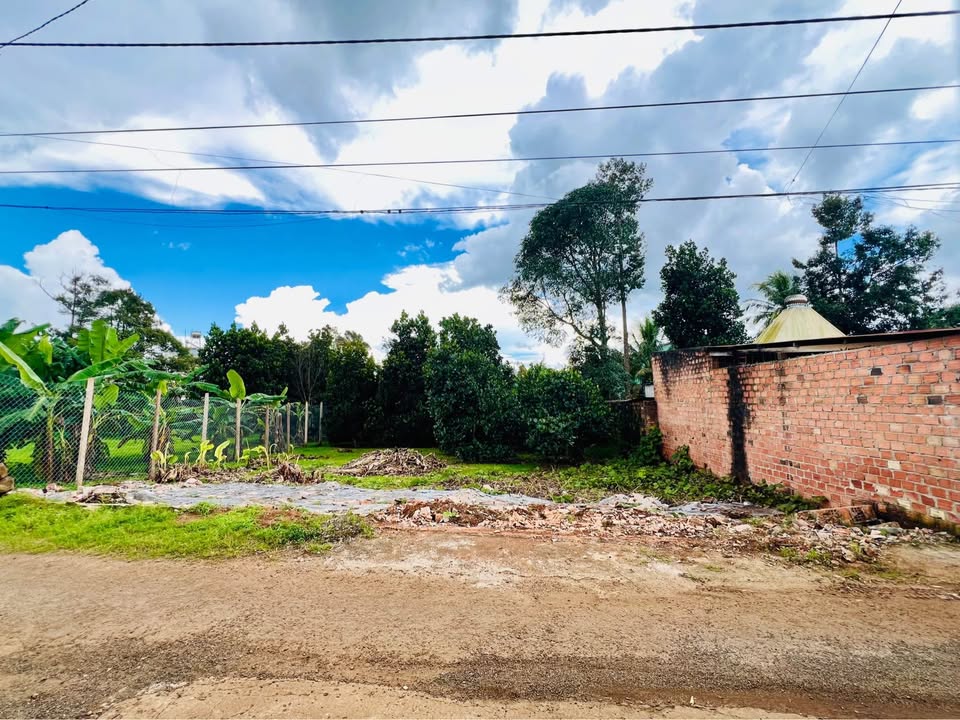 Đất thổ cư Hẻm 02 Trường Sơn, Pleiku 100.94m² giá 800 triệu - Đầu tư sinh lời ngay!