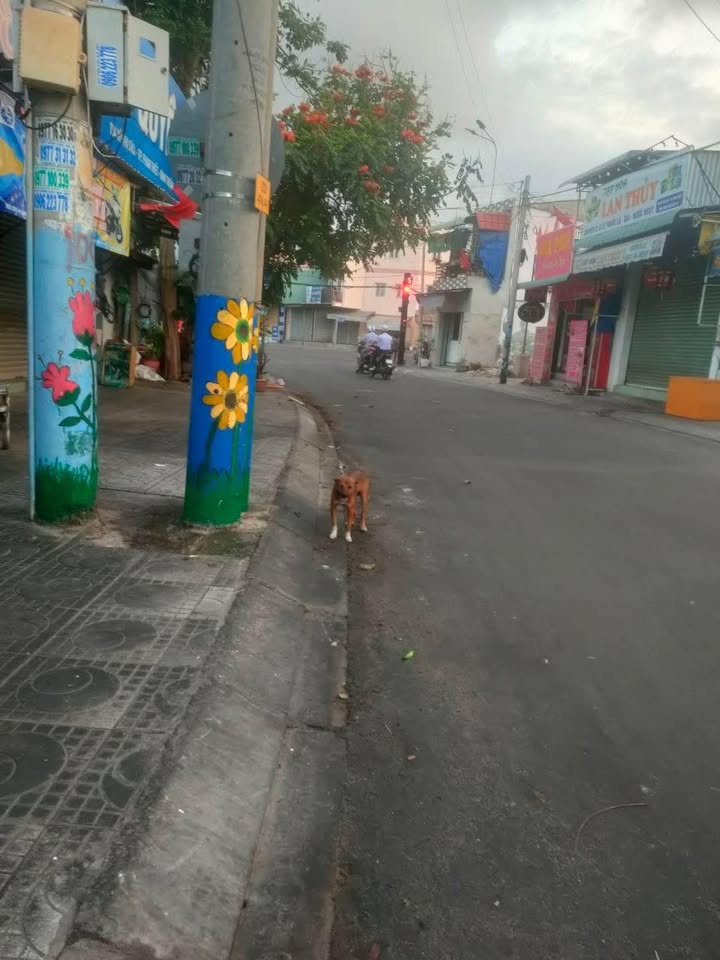 Đất mặt tiền đường Võ Thị Sáu - Hưng Long, Phan Thiết 141m² giá 5 tỷ - Cơ hội đầu tư vàng!