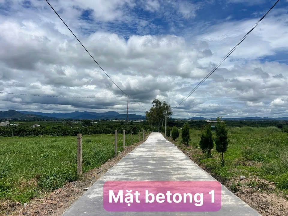 Đất nền Tân Văn Lâm Hà 200m² giá 399 triệu - Săn mây view núi tuyệt đẹp!