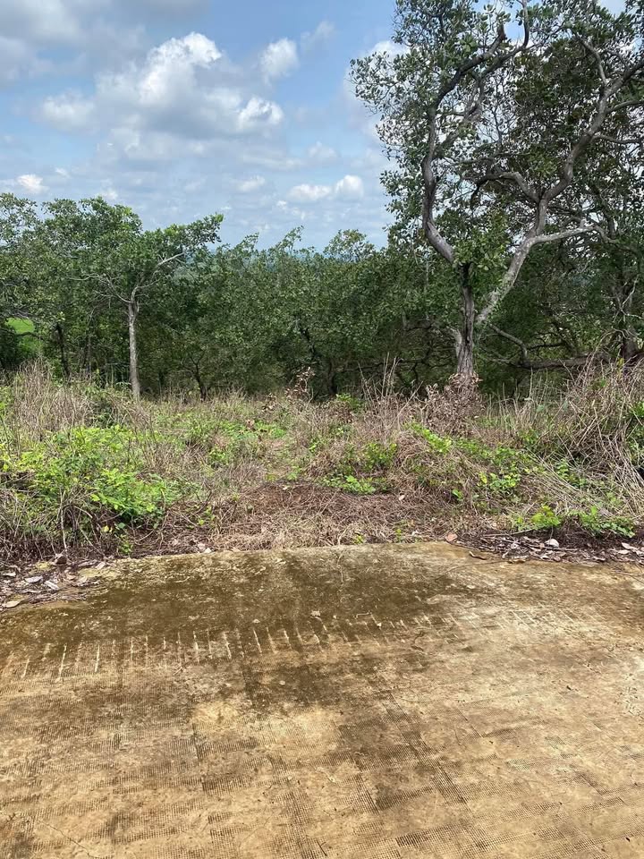 Đất nền Farm Lộc Khánh 70.000m² giá 720 triệu - Sổ hồng chính chủ!