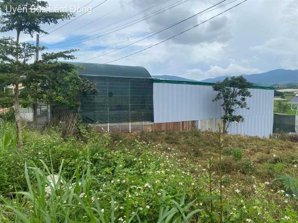 Đất nền Quảng Lập 75m² giá 650 triệu - Tiềm năng sinh lời cao!