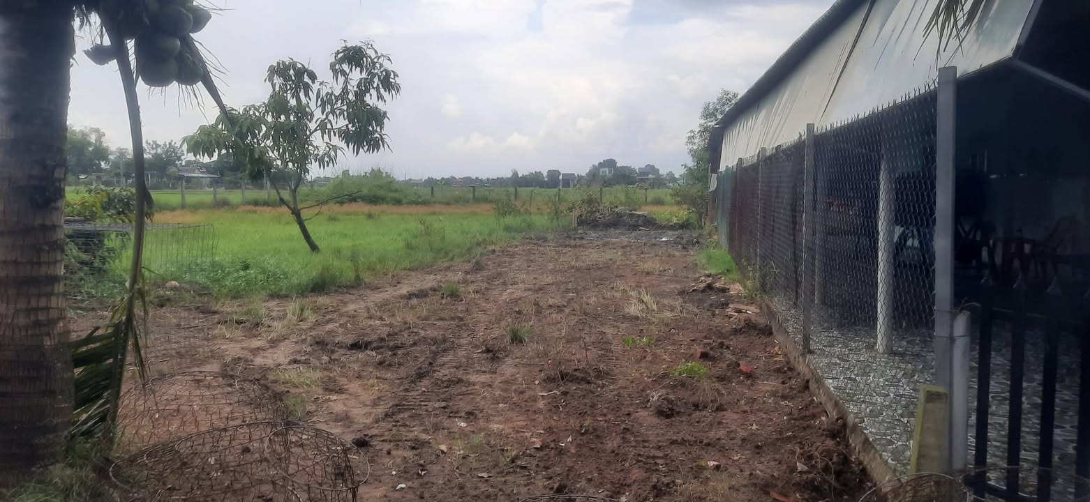 Đất thổ cư 140m² xã Mỹ Hạnh Nam giá 800 triệu - Sổ đỏ chính chủ