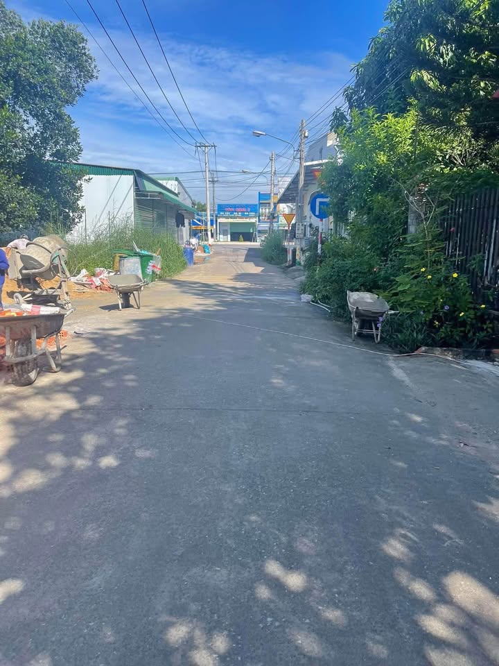 Đất nền khu phố 5, phường Hội Nghĩa, 480m² - Cơ hội đầu tư hiếm có!