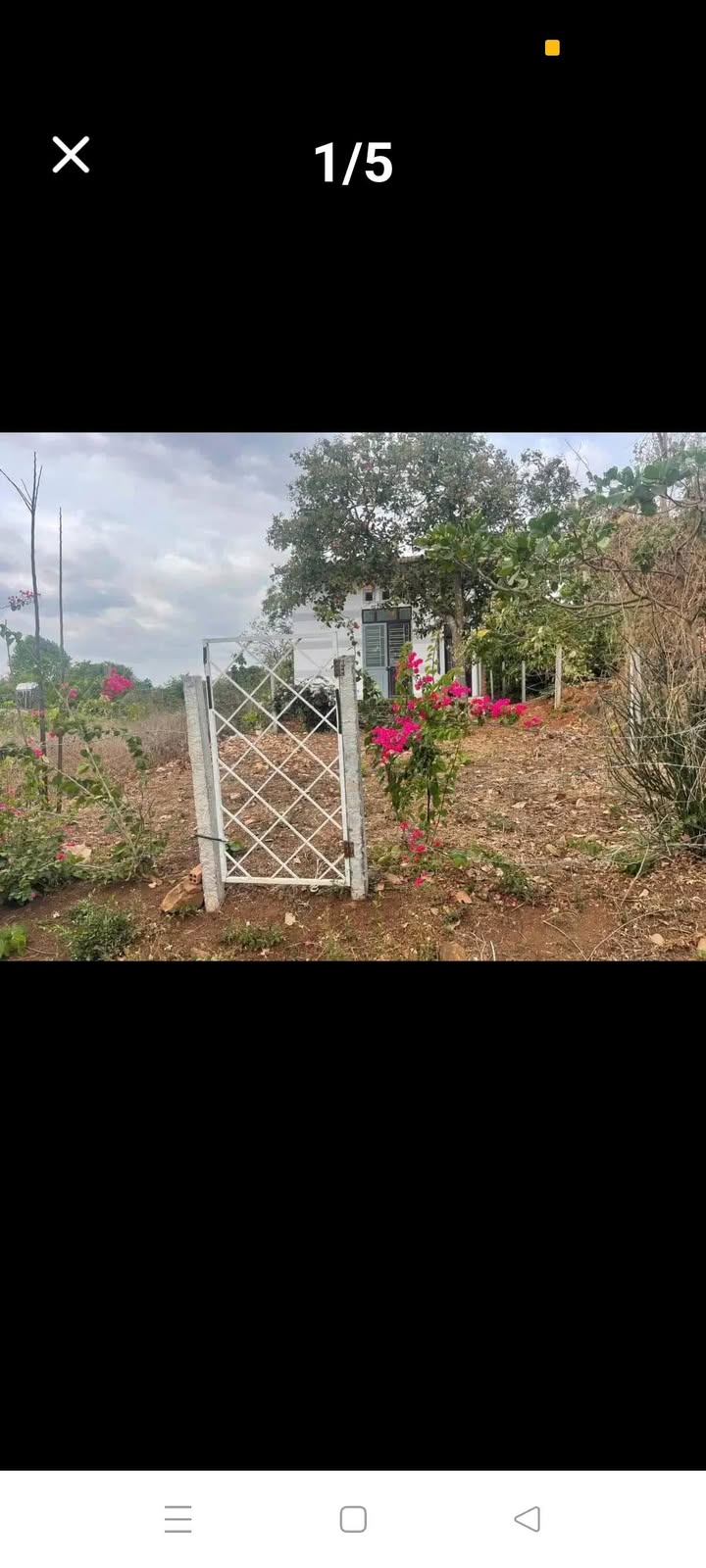 Đất Hòa Xuân Buôn Ma Thuột 162m² giá 590 triệu - Bán gấp tặng nhà