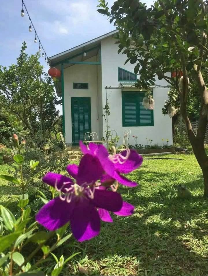 Đất nhà vườn An Phú Đông 3000m² giá 390 triệu - Đầu tư sinh lời tốt!