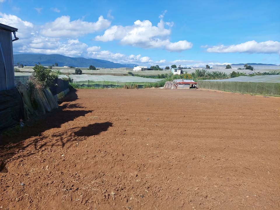 Đất nền Quảng Lập, Đơn Dương 503m² giá 1.1 tỷ - Đường bê tông thông thoáng!