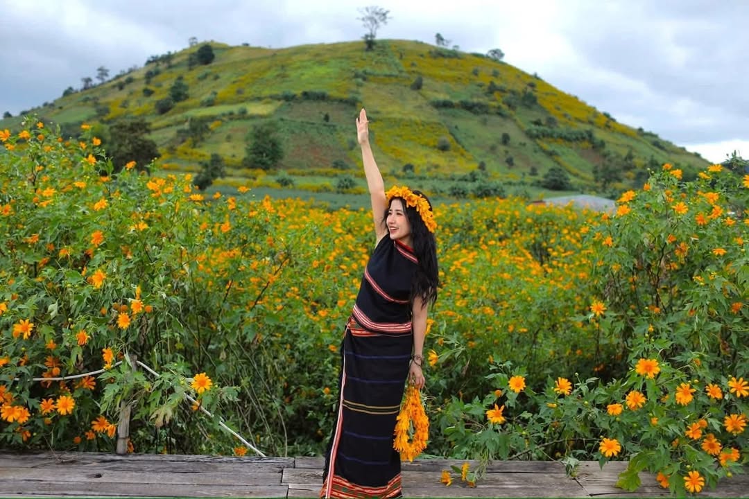 Đất chính chủ hẻm Đào Duy Từ 135m² - Cơ hội đầu tư tuyệt vời!