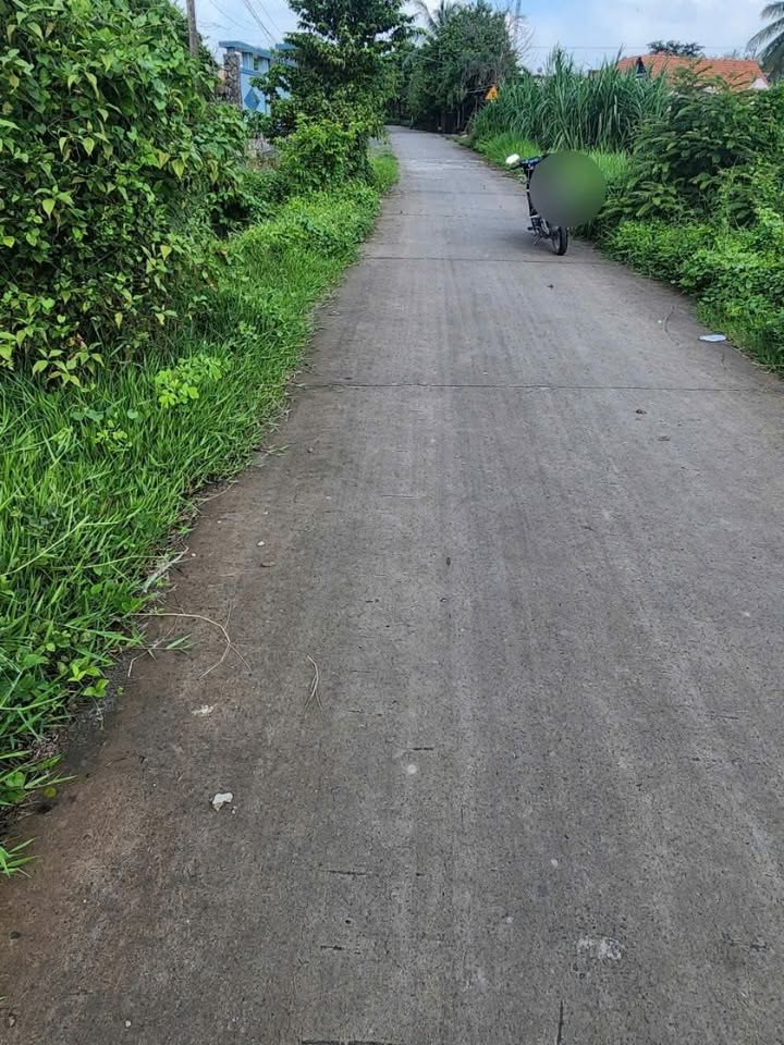 Đất nền An Ninh, Đức Hòa, Long An 1300m² - Đầu tư sinh lời ngay!