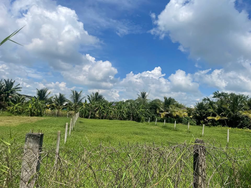 Đất thổ cư 563m² Hẻm 1/ Ba Sa, Củ Chi giá 2.94 tỷ - Đầu tư sinh lời ngay!