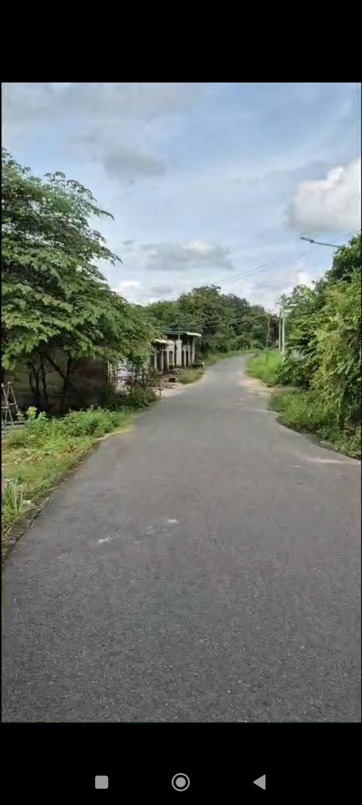 Farm An Điền 80400m² giá 3.1 tỷ - Mặt tiền đường nhựa, vị trí đắc địa!