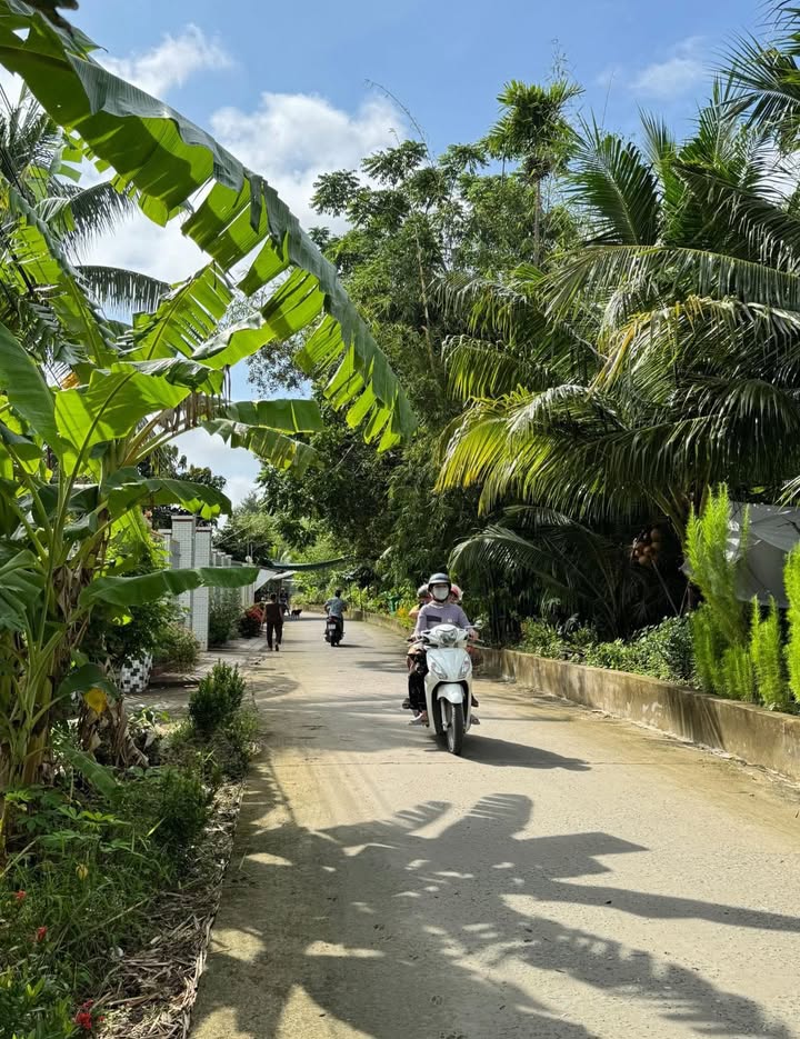 Đất thổ cư Đông Phước A 125m² giá 550 triệu - Gần chợ Cái Chanh!