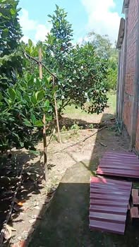 Đất vườn 765m² tại Phường Thanh Hòa, Giá 1 tỷ - Cơ hội đầu tư hấp dẫn!