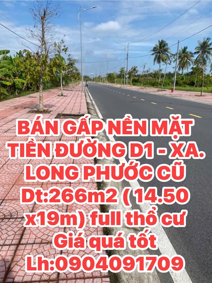 Nhà mặt tiền đường D1, xã Long Phước, diện tích 266m² - Giá thương lượng hấp dẫn!