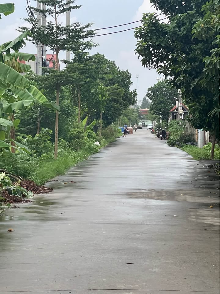 Đất nền Kim Động 135m² giá 1.8 tỷ - Cơ hội đầu tư hấp dẫn!