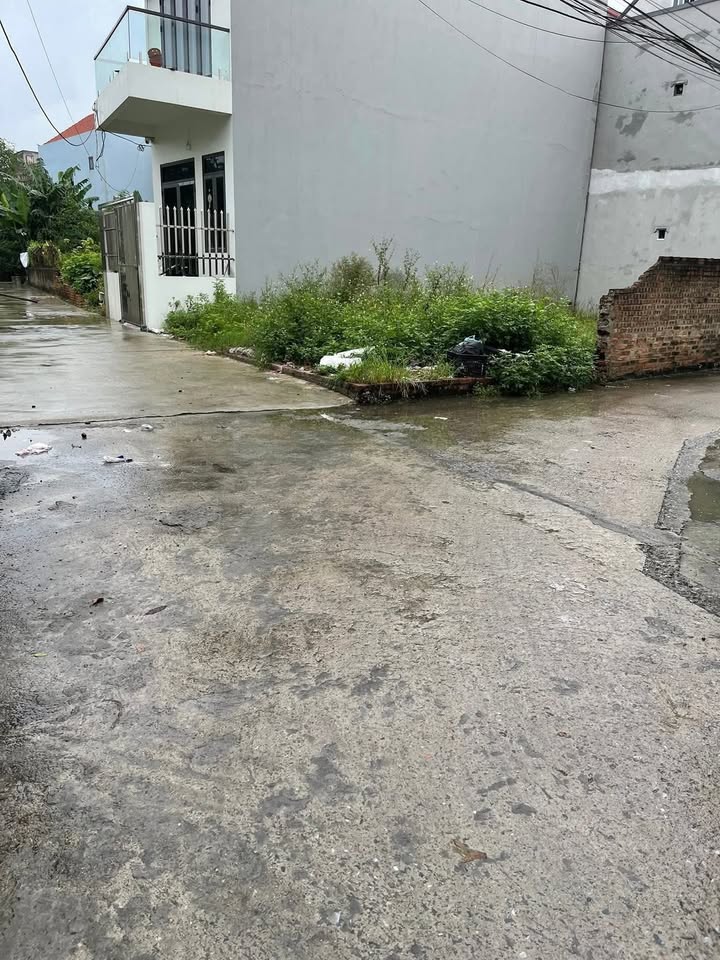 Đất nền lô góc 63.8m² tại Hoàng Nha, Minh Hải, Văn Lâm - Giá chỉ 2 tỷ VND!