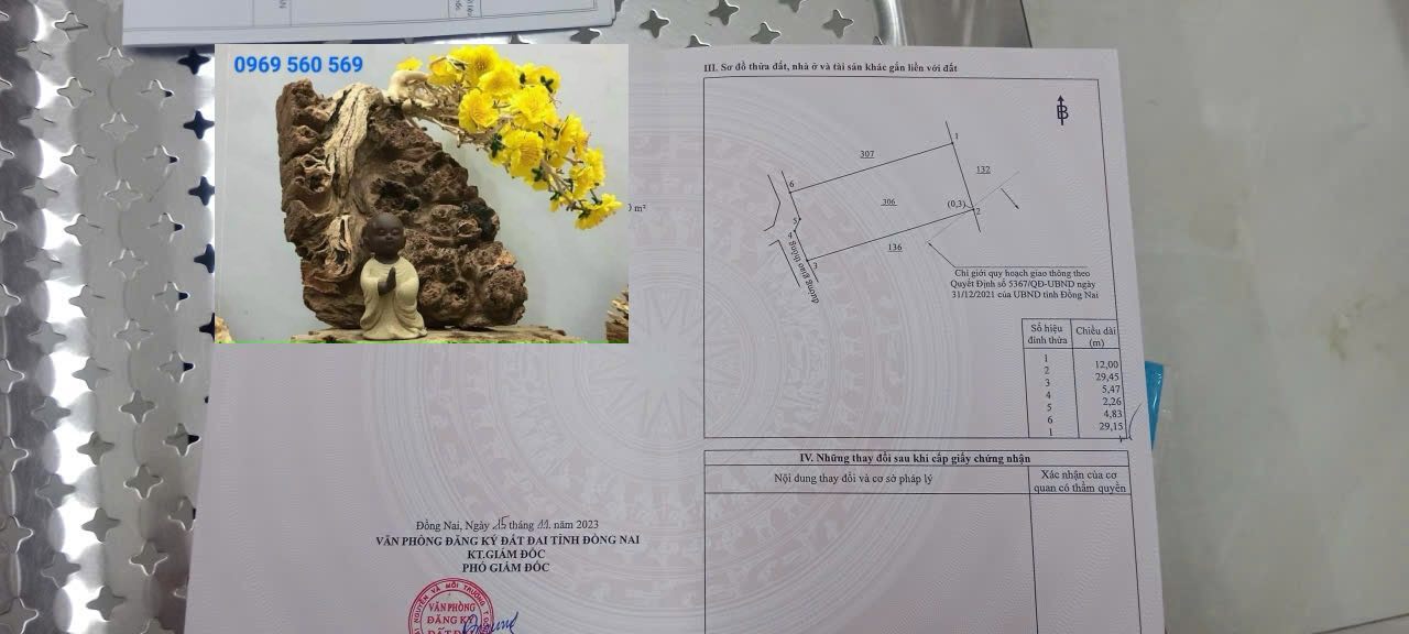 Đất thổ cư 100m² xã Long Tân, Nhơn Trạch, 252m² giá 4.9 tỷ - Bán nhanh!