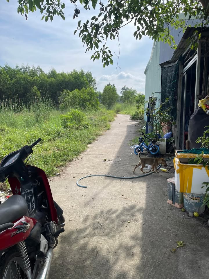 Đất nền ấp Bà Trường, Phước An 105m² giá 200 triệu - Cơ hội đầu tư tuyệt vời!