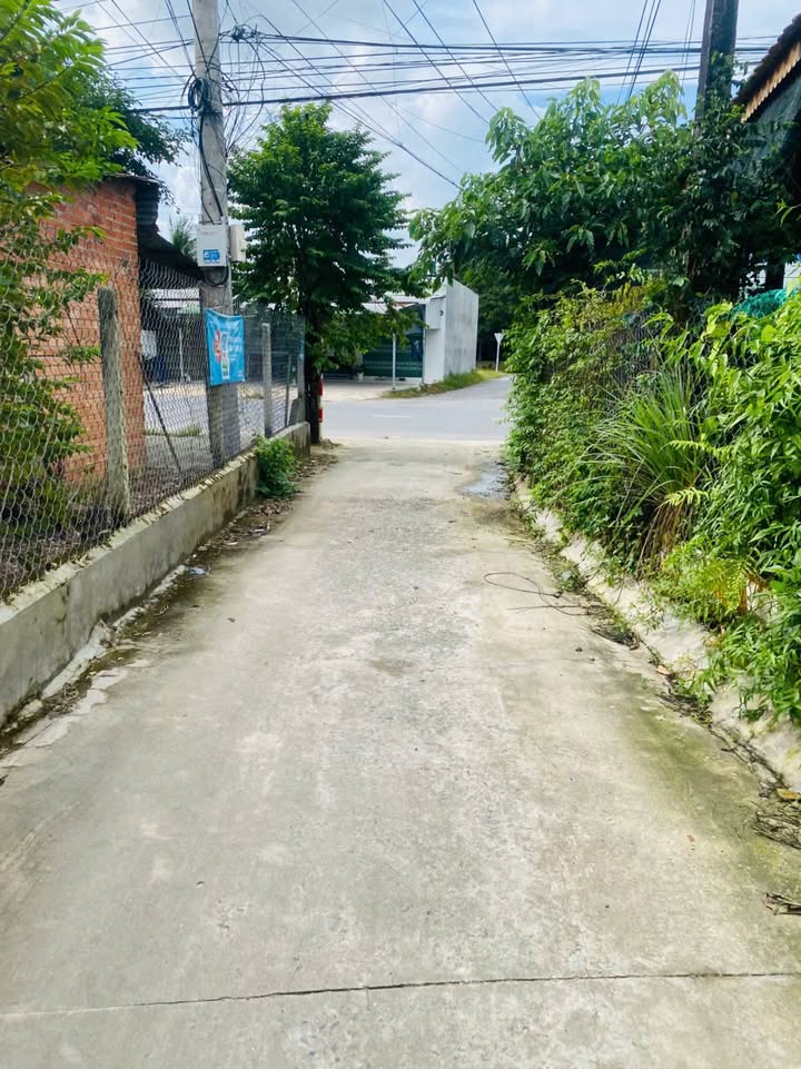 Lô đất đẹp 120m² tại Gò Dầu, Tây Ninh giá chỉ 390 triệu - Sổ riêng, sang tên ngay!