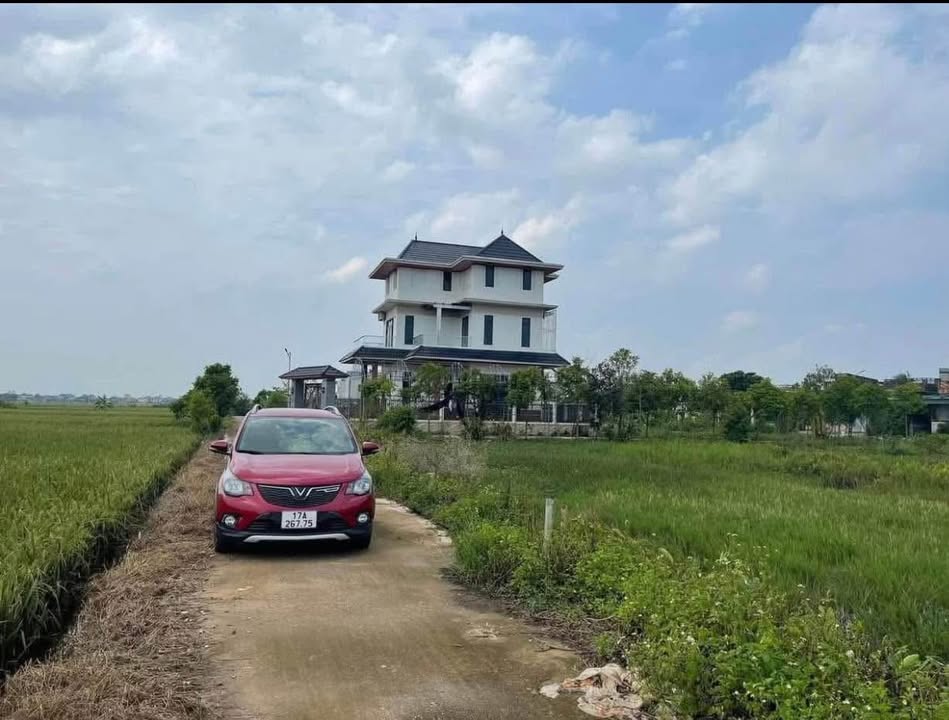 Đất lô góc 100m² phường Trần Lãm, TP. Thái Bình giá chỉ 700 triệu - Cơ hội đầu tư không thể bỏ lỡ!