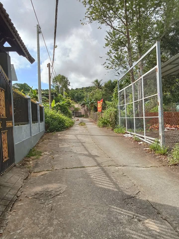 Đất nền Dương Tơ, Phú Quốc 2000m² - Cơ hội đầu tư hấp dẫn!