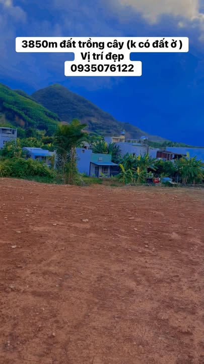 Đất trồng cây 3850m² Hòa Ninh giá 3 tỷ - Vị trí cao ráo, đường ô tô