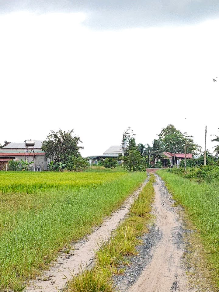 Đất nền Thạnh Bình, Tây Ninh 200m² giá 185 triệu - Sổ đỏ chính chủ, vị trí đắc địa!