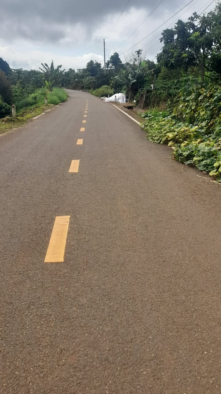 Đất nền 10m mặt đường nhựa xã Liên Hà - Giá chỉ 850 triệu, sổ đỏ chính chủ!