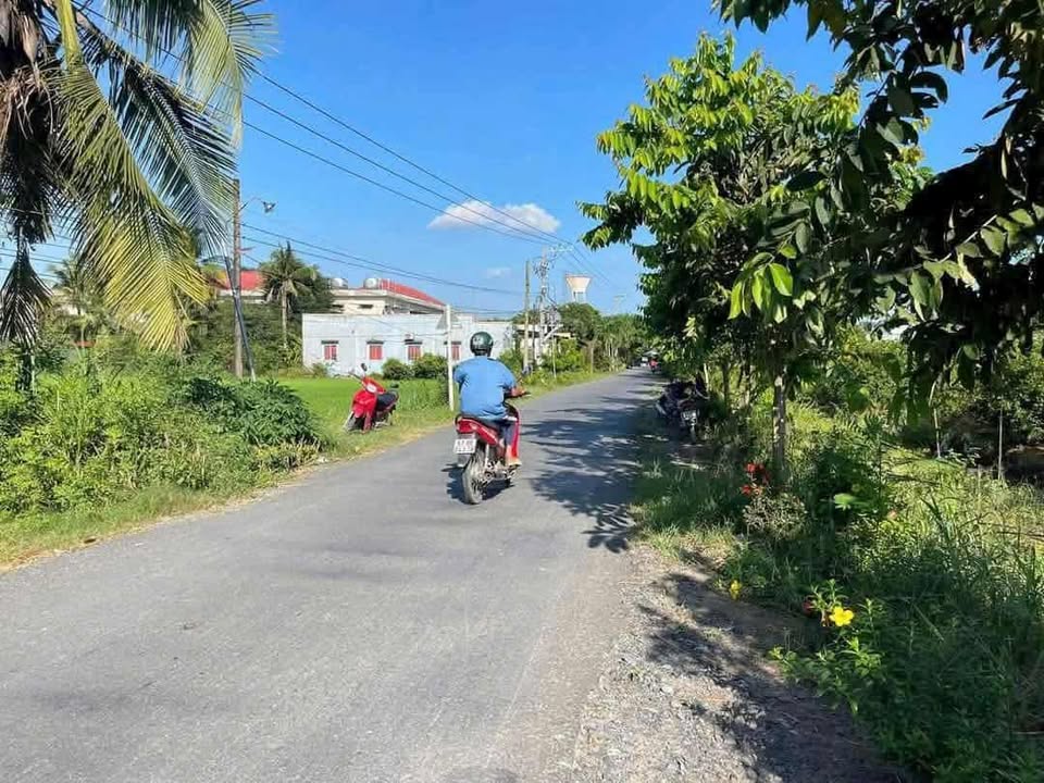 Đất nền Tân Hòa Thành Tân Phước 691m² giá 1.2 tỷ - Cơ hội đầu tư hấp dẫn!