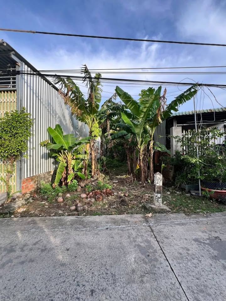 Đất mặt tiền Trần Thị Điểu, Phước Thạnh, 118m², giá 1.45 tỷ - Đầu tư sinh lời ngay!