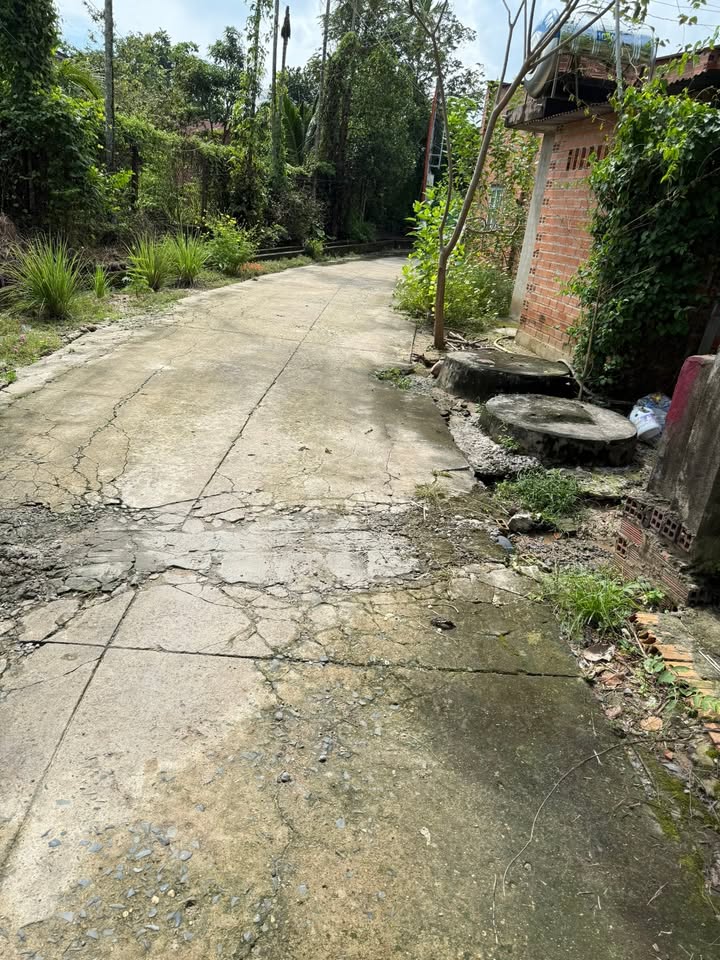 Đất Gò Dầu 125m² giá thỏa thuận - Đất chính chủ, vị trí thuận lợi!