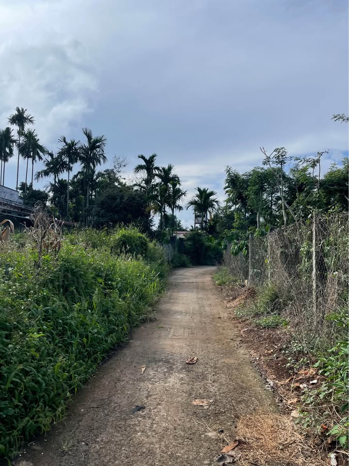 Đất thổ cư Ea Tiêu Cư Kuin 196m² giá 270.9 triệu - Vị trí tiềm năng cho đầu tư!