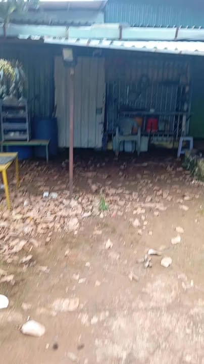 Đất thổ cư 10000m² tại Tuy Đức - Giá 2.2 tỷ, thương lượng ngay!