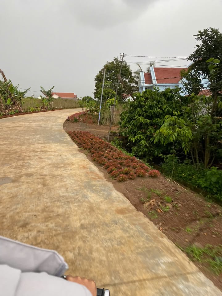 Đất nền 9 sào cà phê tại cổng vàng Cư Xá, Liên Hiệp - Giá tốt, pháp lý rõ ràng!