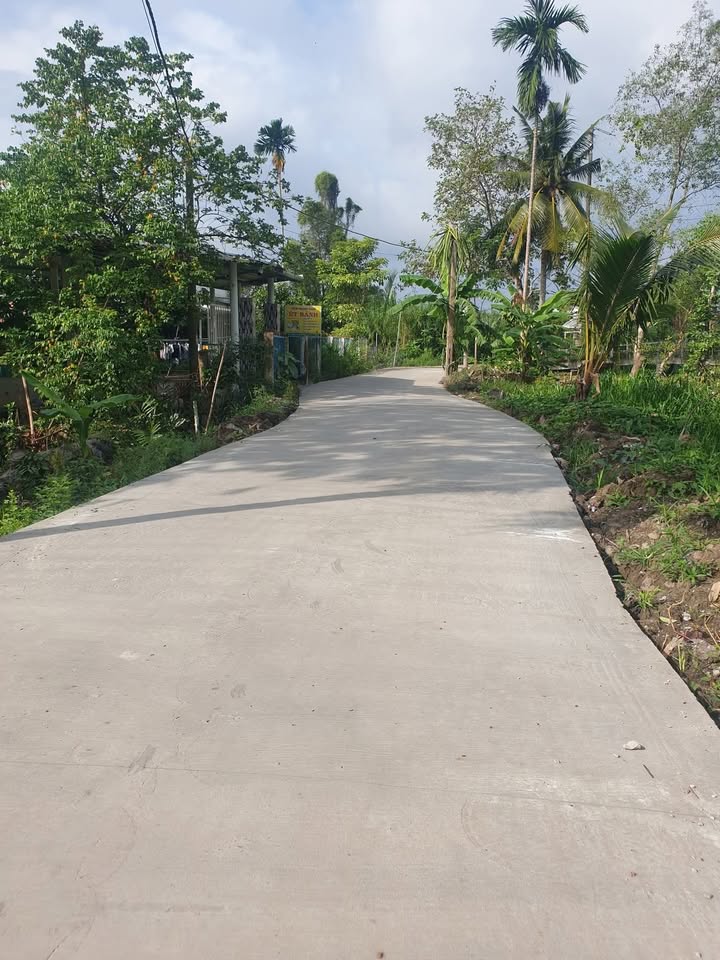 Đất sầu riêng Giai Xuân 2704m² giá 3.2 tỷ - Đầu tư sinh lời tốt!