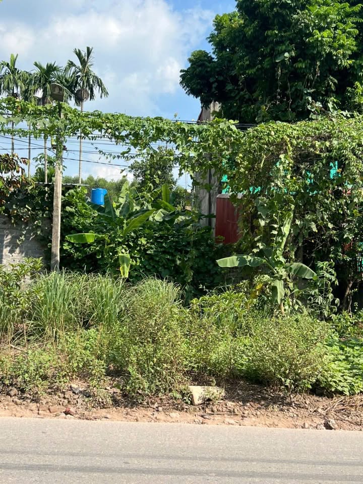 Đất nền Kép Lạng Giang 88m² chỉ 140 triệu - Cơ hội đầu tư tuyệt vời!