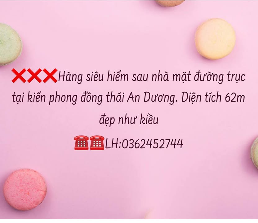 Đất nền mặt đường trục Đồng Thái, An Dương, Hải Phòng 62m² - Cơ hội đầu tư hiếm có!