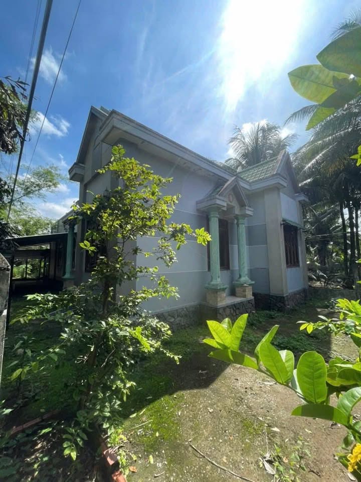 Biệt thự Mini 567m² tại Ấp Vĩnh Khánh, Bến Tre giá 1.15 tỷ - Cơ hội đầu tư tuyệt vời!