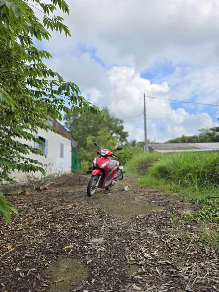 Đất nền biệt thự Phú Tân, Bến Tre 329m² giá 1.19 tỷ - Cơ hội đầu tư hấp dẫn!