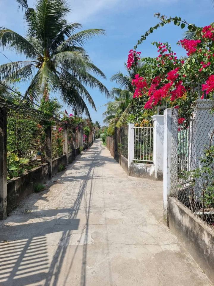 Đất nền Phú Khương, Bến Tre 149m² giá 920 triệu - Sổ đỏ chính chủ!