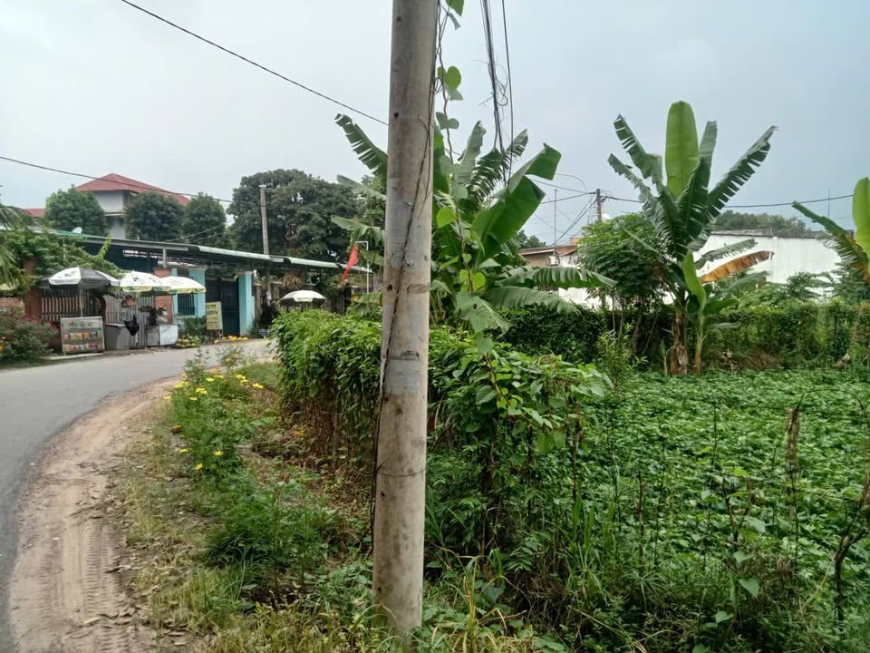 Đất nền 1000m² tại Phước Vĩnh An, Củ Chi - Giá chỉ 2.6 tỷ, cơ hội đầu tư hấp dẫn!