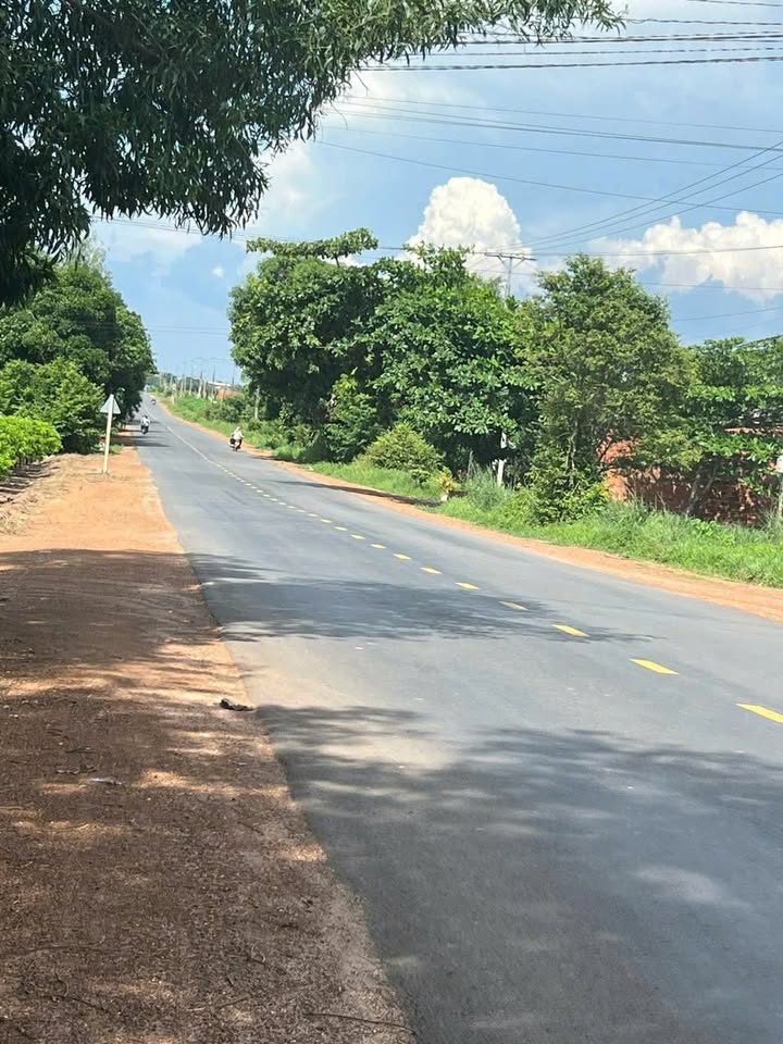 Đất nền 1ha Tân Phú, Tây Ninh - Sổ đỏ chính chủ, giá thỏa thuận!