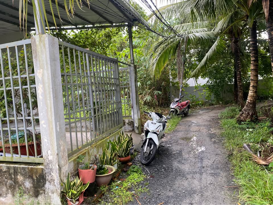 Nhà bán tại An Bình, Ninh Kiều, Cần Thơ - Diện tích 173m² chỉ 950 triệu!