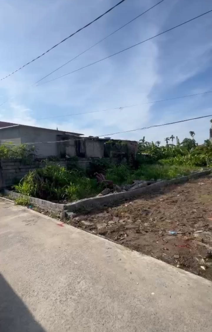 Đất nền Tân Phong - Kiến Thụy 77.2m² và 69.2m² giá 1 tỷ - Cơ hội đầu tư hấp dẫn!