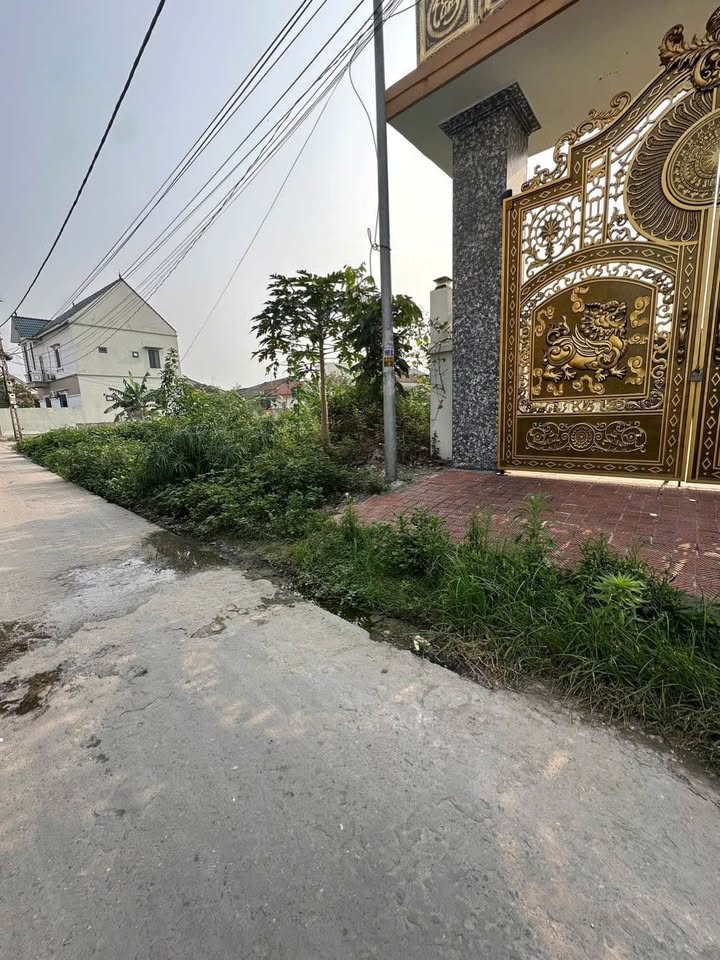 Đất nền Dương Quang - Mỹ Hào 101.2m² giá 2 tỷ - Đất nở hậu, gần chợ