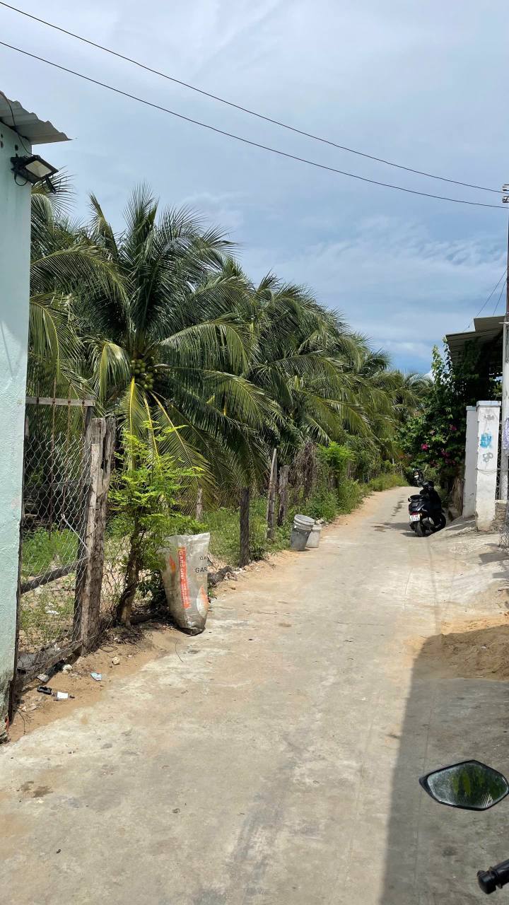 Đất mặt tiền đường Petong, Phường Đông Hải 399.5m² giá 1.5 tỷ - Sổ hồng chính chủ, thương lượng tốt!