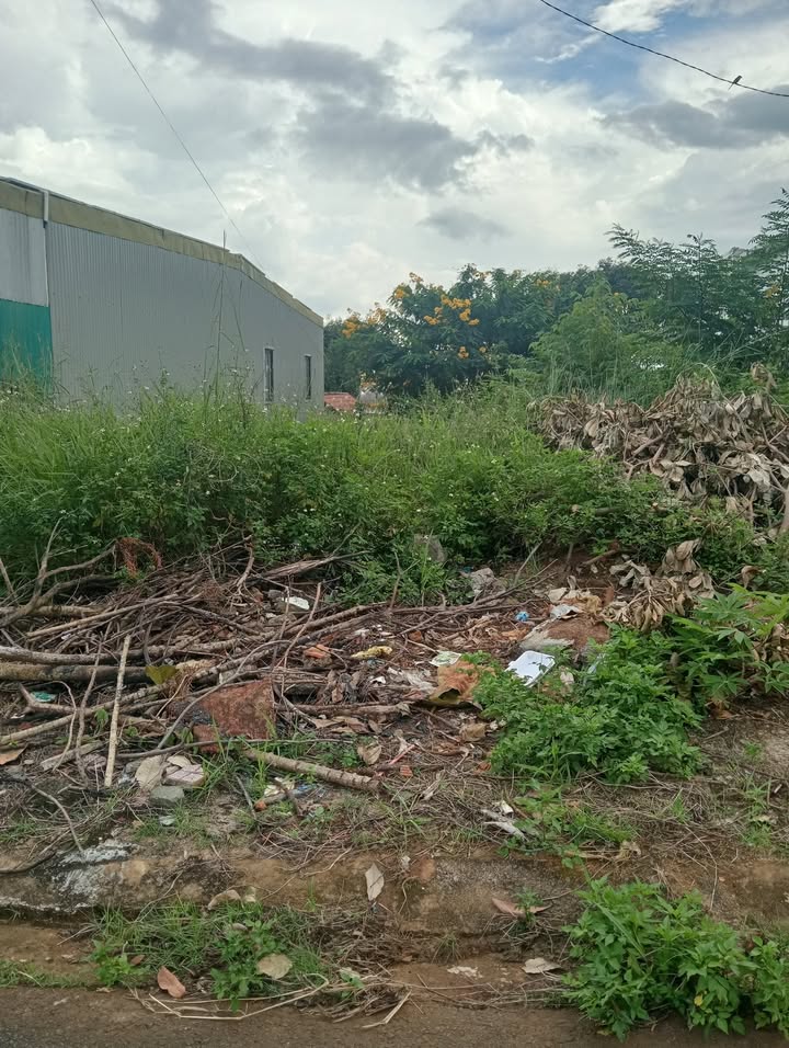 Đất thổ cư Bảo Lộc 288m² giá 1.69 tỷ - Mặt tiền đường Tạ Quang Bửu!