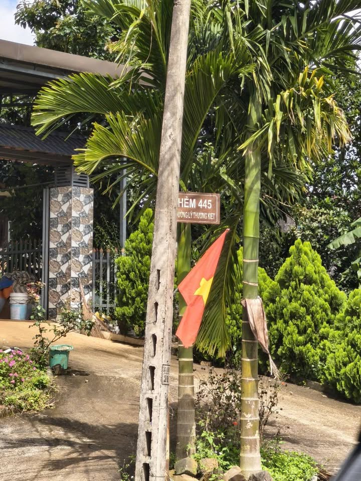 Đất nền 600m² tại Bảo Lộc giá 6 tỷ - Đầu tư sinh lời ngay!