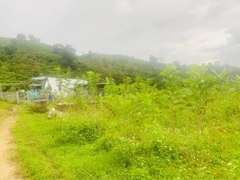 Đất nền 7,2 sào tại Lộc Thành, Bảo Lâm - Giá chỉ 4.68 tỷ!