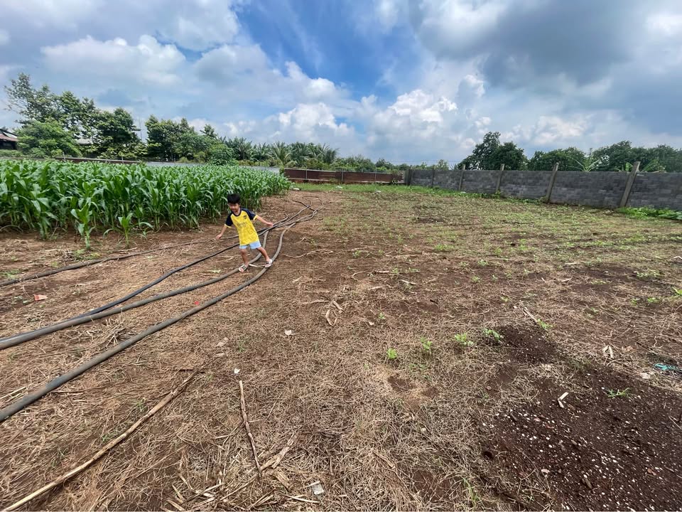 Đất nền Gia Kiệm 1,8 sào giá 1,65 tỷ - Sổ hồng chính chủ, thuận tiện xây dựng!